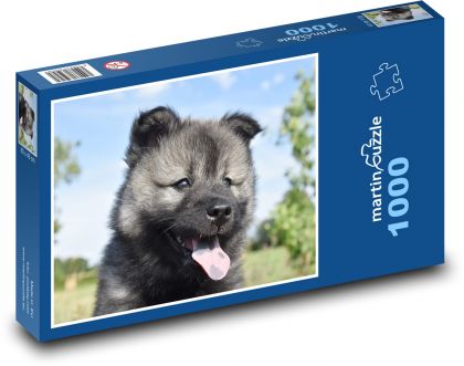 Szczeniak euroazjatycki - Puzzle 1000 elementów, rozmiar 60x46 cm