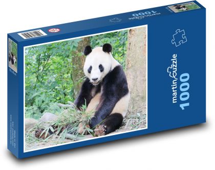 Panda Bear - Puzzle 1000 elementów, rozmiar 60x46 cm