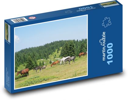 Animals - Horses - Puzzle 1000 pieces, size 60x46 cm 