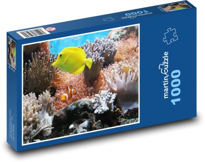 Akvarijné ryby - Puzzle 1000 dielikov, rozmer 60x46 cm