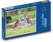 Tygr - divoká kočka Puzzle 1000 dílků - 60 x 46 cm