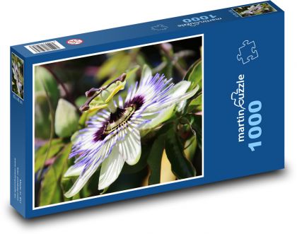 Kwiat męczennicy - Puzzle 1000 elementów, rozmiar 60x46 cm
