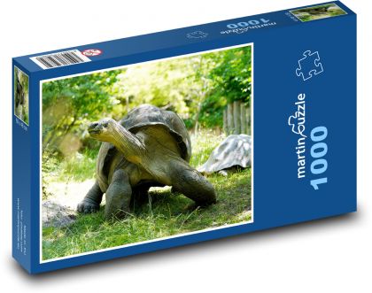 Riesenschildkröte - Puzzle - 1000 Teile
