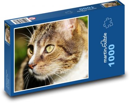 Kot - Puzzle 1000 elementów, rozmiar 60x46 cm