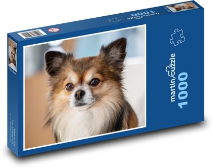 Chihuahua - dog - Puzzle 1000 pieces, size 60x46 cm 