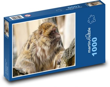 Opice - makak - puzzle 1000 dílků