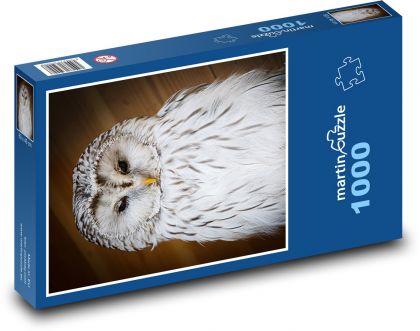 Zasnežená sova - Puzzle 1000 dielikov, rozmer 60x46 cm