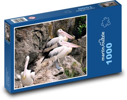 Pelikany - ptaki - Puzzle 1000 elementów, rozmiar 60x46 cm