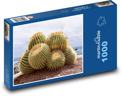 Kaktus - Puzzle 1000 dielikov, rozmer 60x46 cm