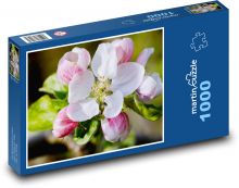 Apfelblüte Puzzle 1000 Teile - 60 x 46 cm