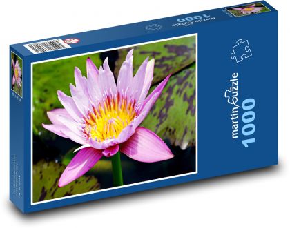 Flower - water lily - Puzzle 1000 pieces, size 60x46 cm 