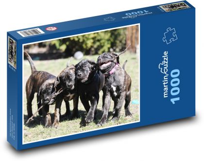 Psy - Psy - Puzzle 1000 dielikov, rozmer 60x46 cm