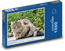 Katze Puzzle 1000 Teile - 60 x 46 cm