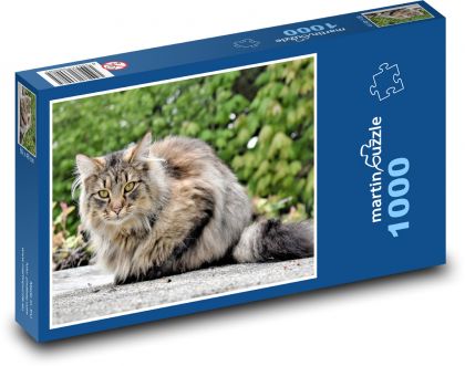 Katze - Puzzle - 1000 Teile