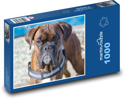 Boxer - pes - Puzzle 1000 dielikov, rozmer 60x46 cm