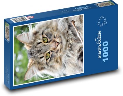 Kot - Puzzle 1000 elementów, rozmiar 60x46 cm