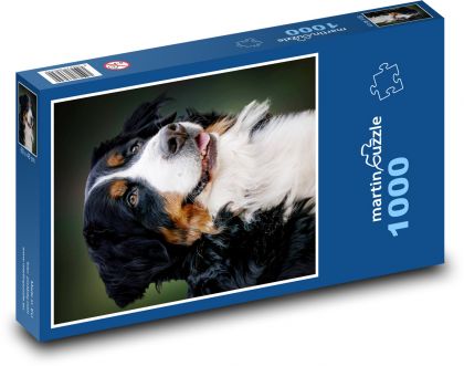 Bernský salašnický pes - puzzle 1000 dílků