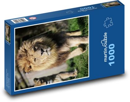 Löwe - Puzzle - 1000 Teile