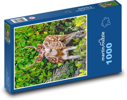 Jeleň - Puzzle 1000 dielikov, rozmer 60x46 cm