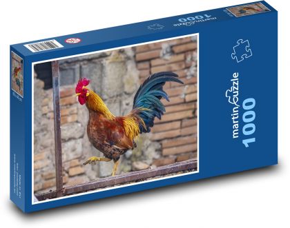 Poultry - Rooster - Puzzle 1000 pieces, size 60x46 cm 
