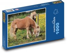 Koně - poník Puzzle 1000 - 60x46 cm