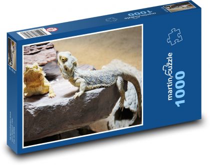 Vousatý drak - Puzzle 1000 dílků, rozměr 60x46 cm