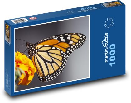 Motýľ - Monarch migratory - Puzzle 1000 dielikov, rozmer 60x46 cm