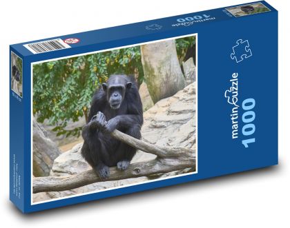 Chimpanzee - monkey - Puzzle 1000 pieces, size 60x46 cm 