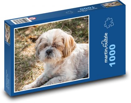 Pes - Shih tzu - puzzle 1000 dílků