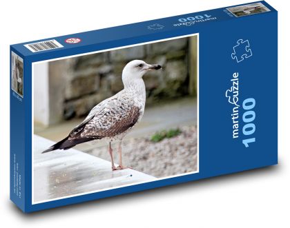 Vták - čajka - Puzzle 1000 dielikov, rozmer 60x46 cm