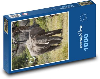Animal - Elephant - Puzzle 1000 pieces, size 60x46 cm 
