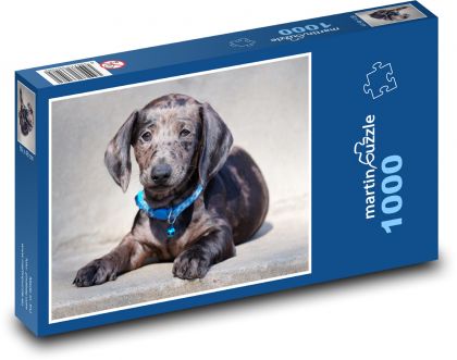 Dackel - Welpe - Puzzle - 1000 Teile