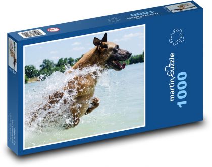 Dog - Belgian Shepherd Dog - Puzzle 1000 pieces, size 60x46 cm 