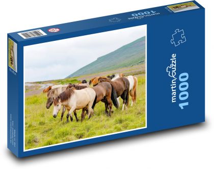 Koně - stádo - puzzle 1000 dílků