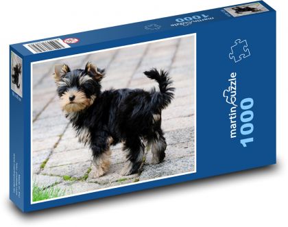 Yorkshire Terrier - Hund - Puzzle - 1000 Teile