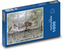 Ptak drapieżny - sowa Puzzle 1000 elementów - 60x46 cm