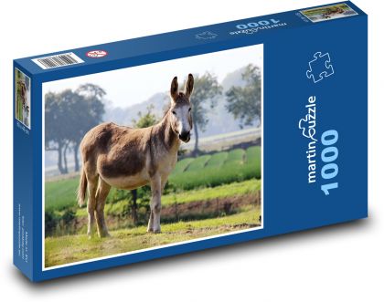 Zvíře - osel - puzzle 1000 dílků