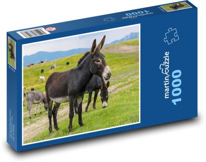 Somár - zviera - Puzzle 1000 dielikov, rozmer 60x46 cm