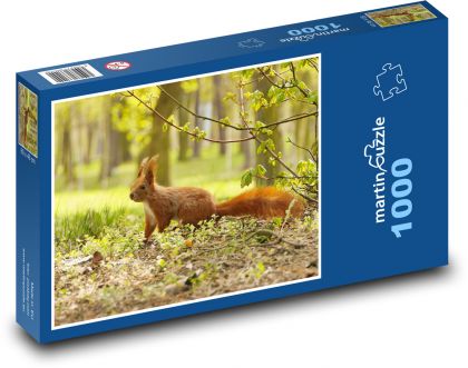 Squirrel - rodent - Puzzle 1000 pieces, size 60x46 cm 