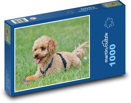 Pudl - pes - puzzle 1000 dílků