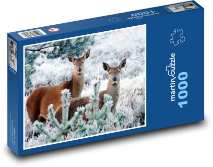 Jelenie - zwierzęta - Puzzle 1000 elementów, rozmiar 60x46 cm