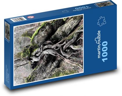Kmeň stromu - korene stromov - Puzzle 1000 dielikov, rozmer 60x46 cm