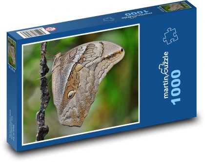 Butterfly - Insect - Puzzle 1000 pieces, size 60x46 cm 