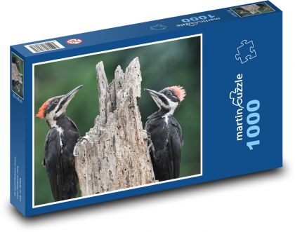 Datel - pták - puzzle 1000 dílků