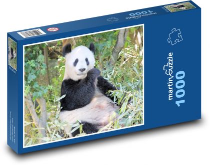 Panda - Puzzle 1000 dielikov, rozmer 60x46 cm