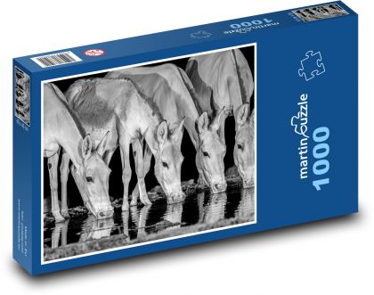 Divoká zvířata - puzzle 1000 dílků