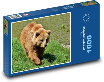 Braunbär - Puzzle - 1000 Teile