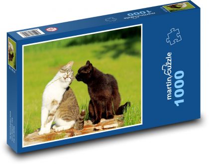 Koty - Puzzle 1000 elementów, rozmiar 60x46 cm