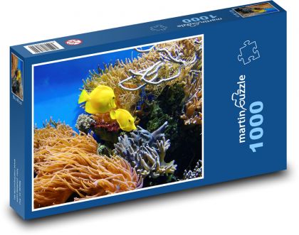 Akvárium - okrasné ryby - puzzle 1000 dílků