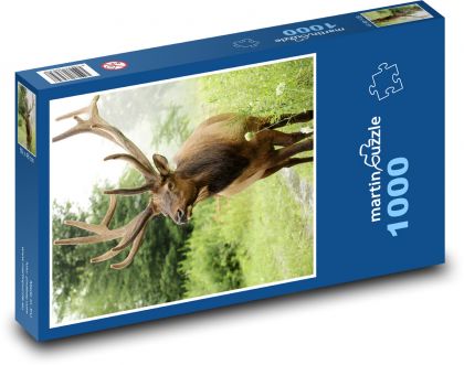 Deer - wildlife - Puzzle 1000 pieces, size 60x46 cm 